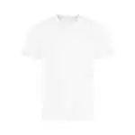 arctic white