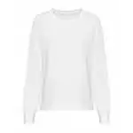 arctic white
