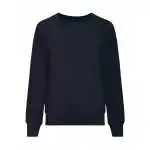 new french navy