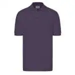 aubergine