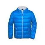 blue/silver