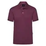 Aubergine