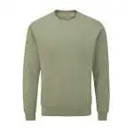 soft olive